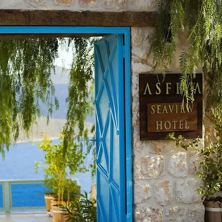 Asfiya (adults Only)